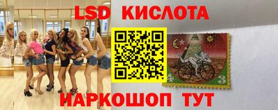 шишки Краснознаменск