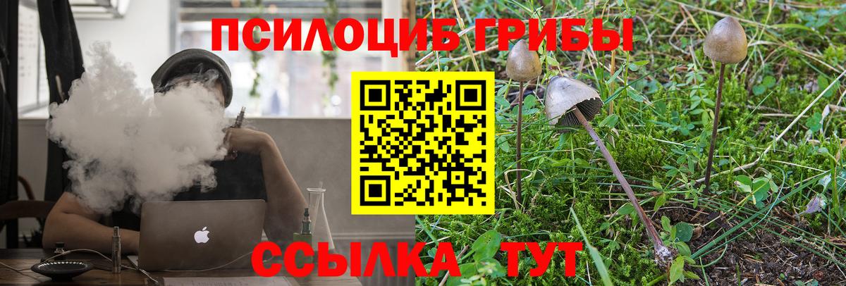 Псилоцибиновые грибы Psilocybine cubensis Кольчугино