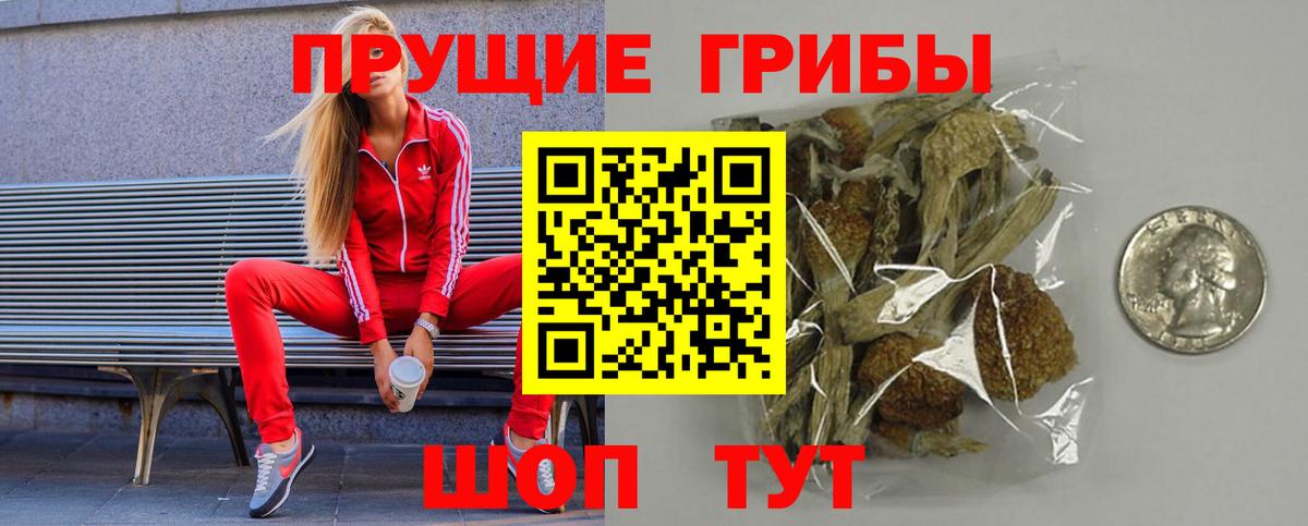 Кольчугино  Галлюциногенные грибы ЛСД  Вход с VPN  купить закладку  Галлюциногенные грибы Psilocybine cubensis 